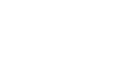 biznes-novinite-logo